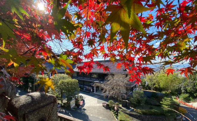京都霊山護国神社より撮影(2020年11月19日）
